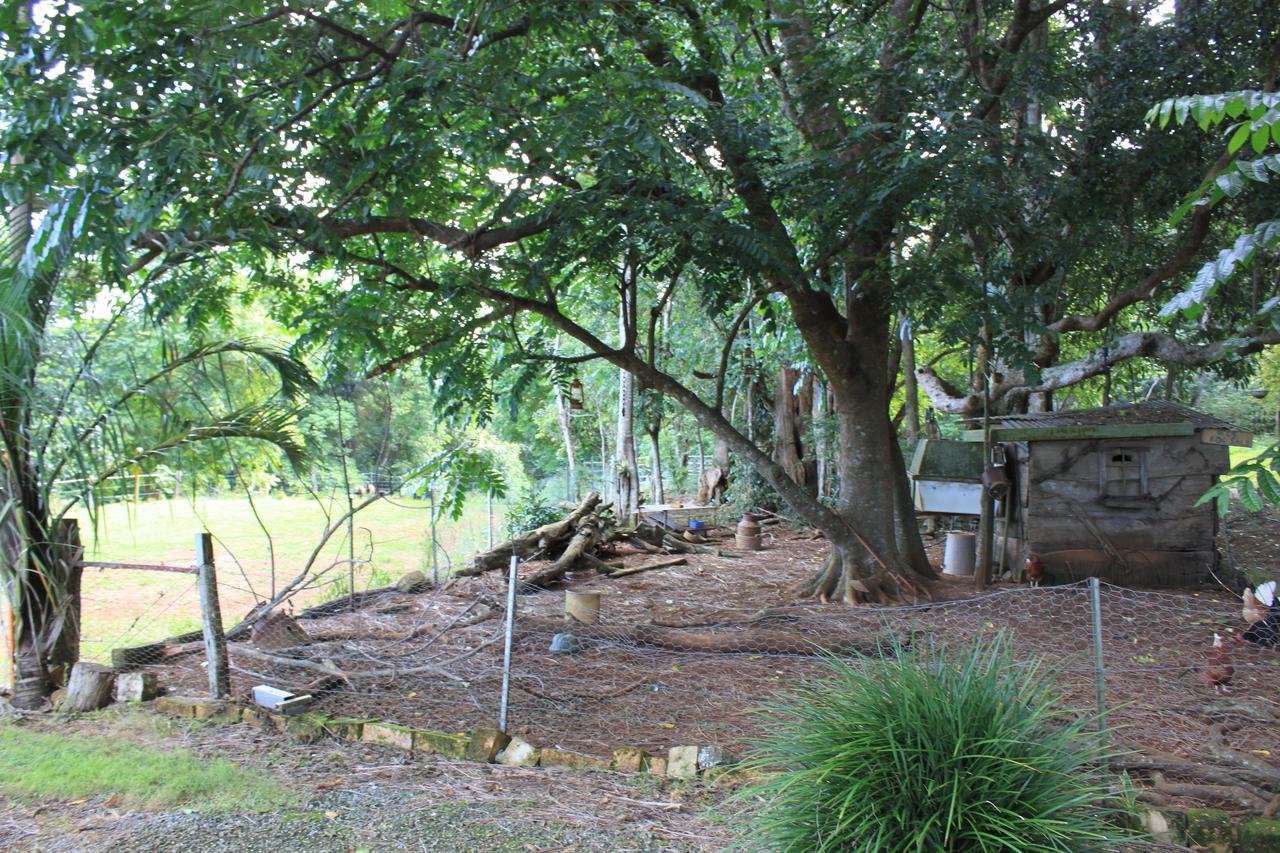 Alstonville Country Cottages Eksteriør billede